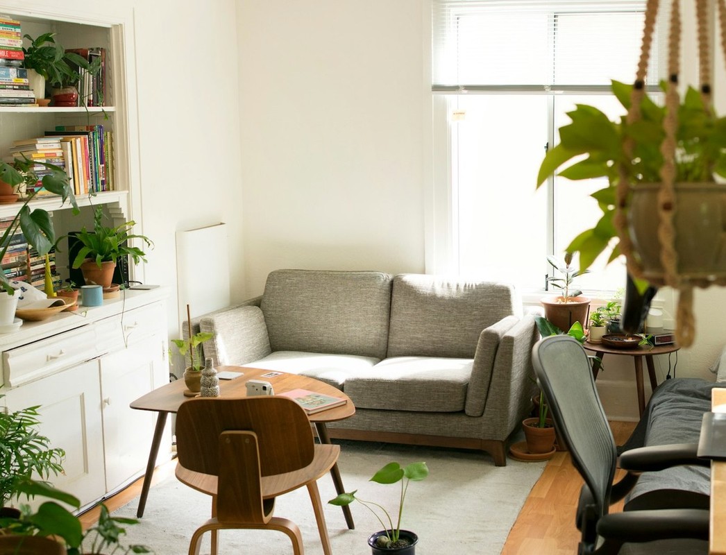 Bright apartment living room